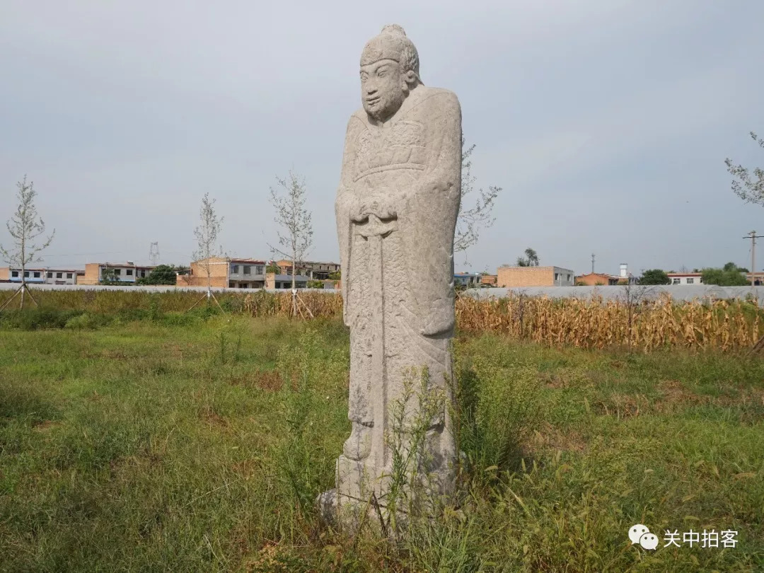 殷化行墓:石人,石马矗立田间