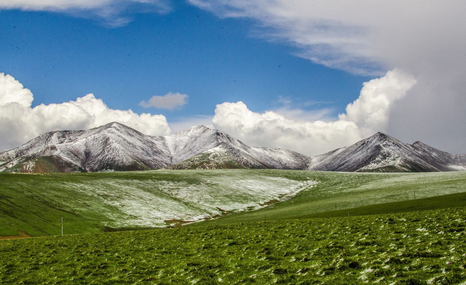 岗什卡雪峰位于青海省门源回族自治县境内,海拔5254.