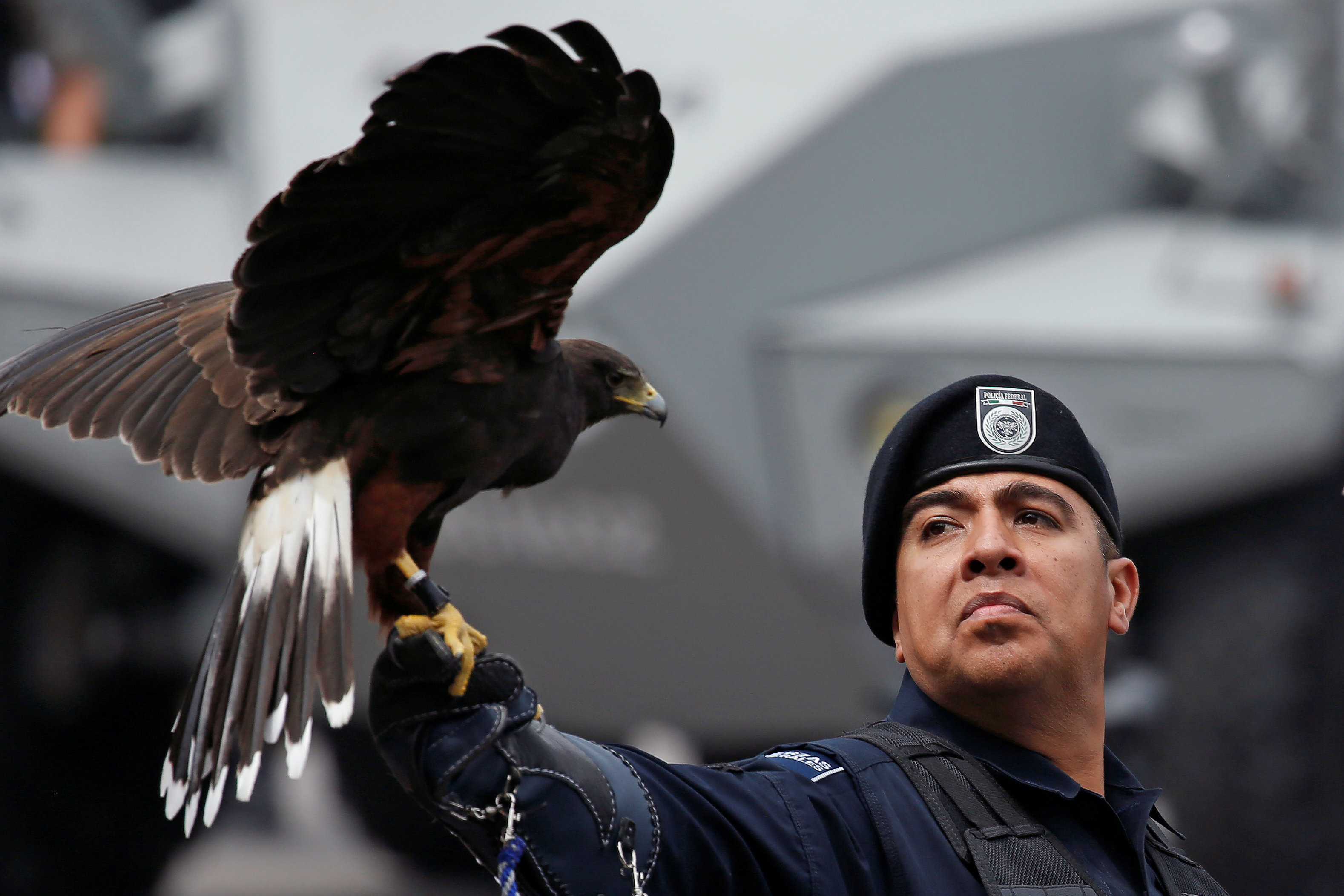 墨西哥举行阅兵庆祝独立日(12)