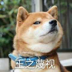 90后的孤寡老人