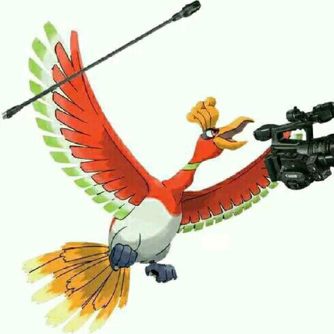 盘点神奇宝贝中五大神鸟,凤王为什么被叫做摄影师?