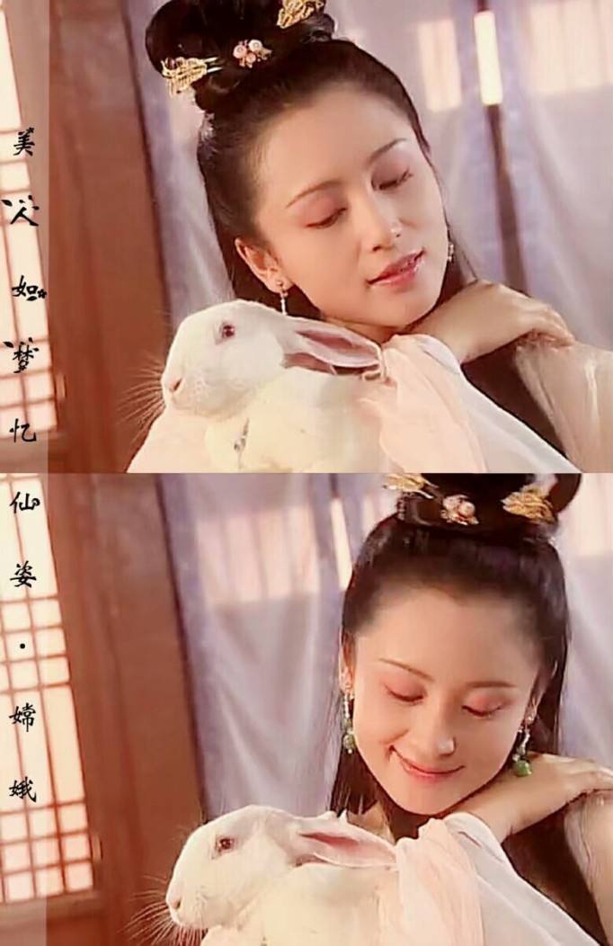 86版《西游记》中嫦娥的扮演者,气质脱俗只演一角,现转行为商人