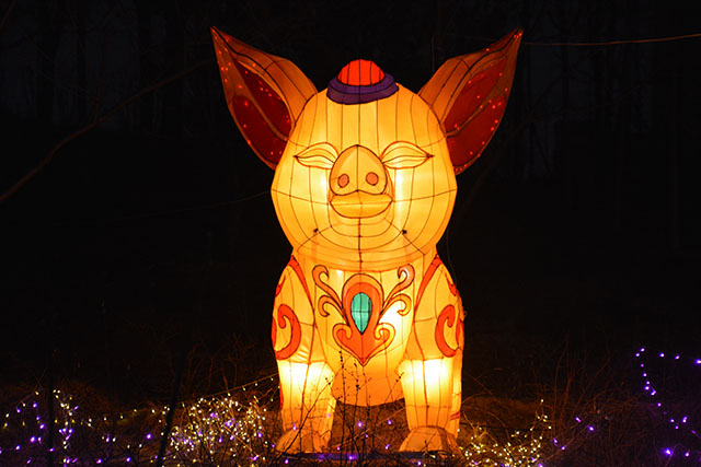 2019年山西运城新年灯展聚焦(一):禹都公园的河津民俗文化