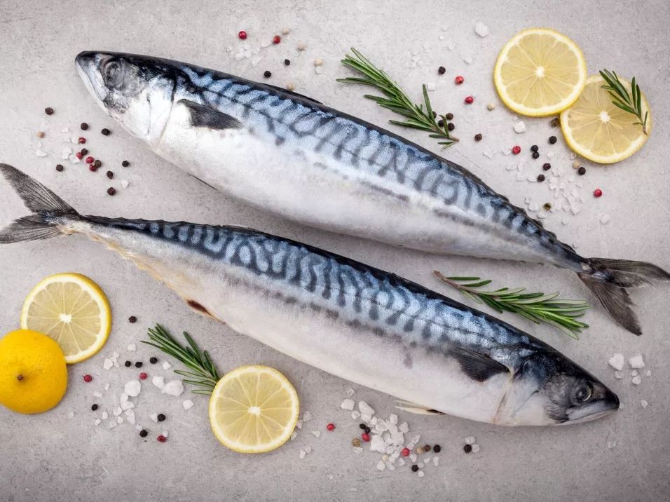 其中,尤其以挪威鲐鱼品