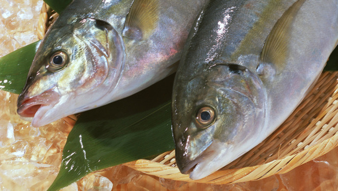 广东湛江"海霸"获刑25年:垄断海鲜市场攫取暴利