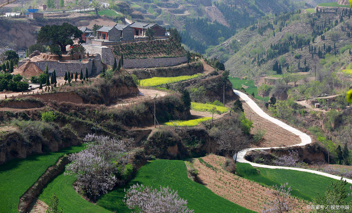 丘陵微耕机 - 热门商品专区