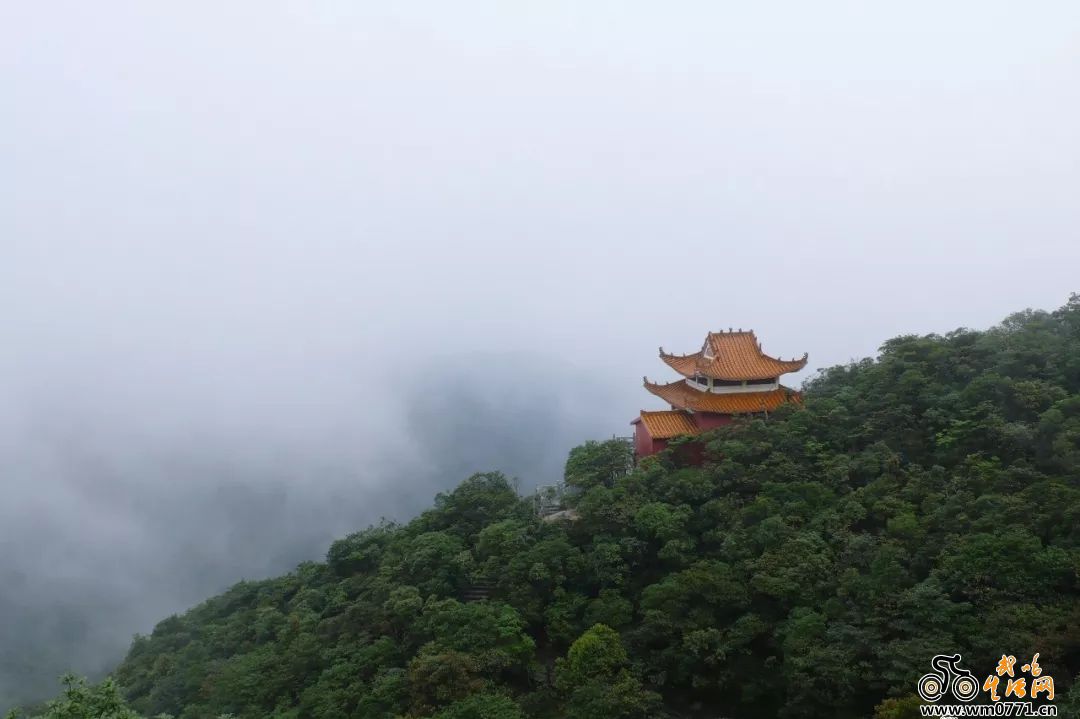 堪比仙境的武鳴大明山,霧雨朦朧時等你來相約