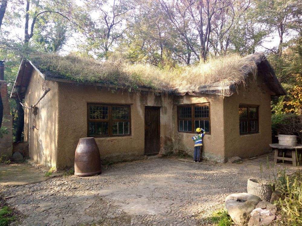 未来两年农村将要普及的四大项目,农民们抓住机会可以发家致富!