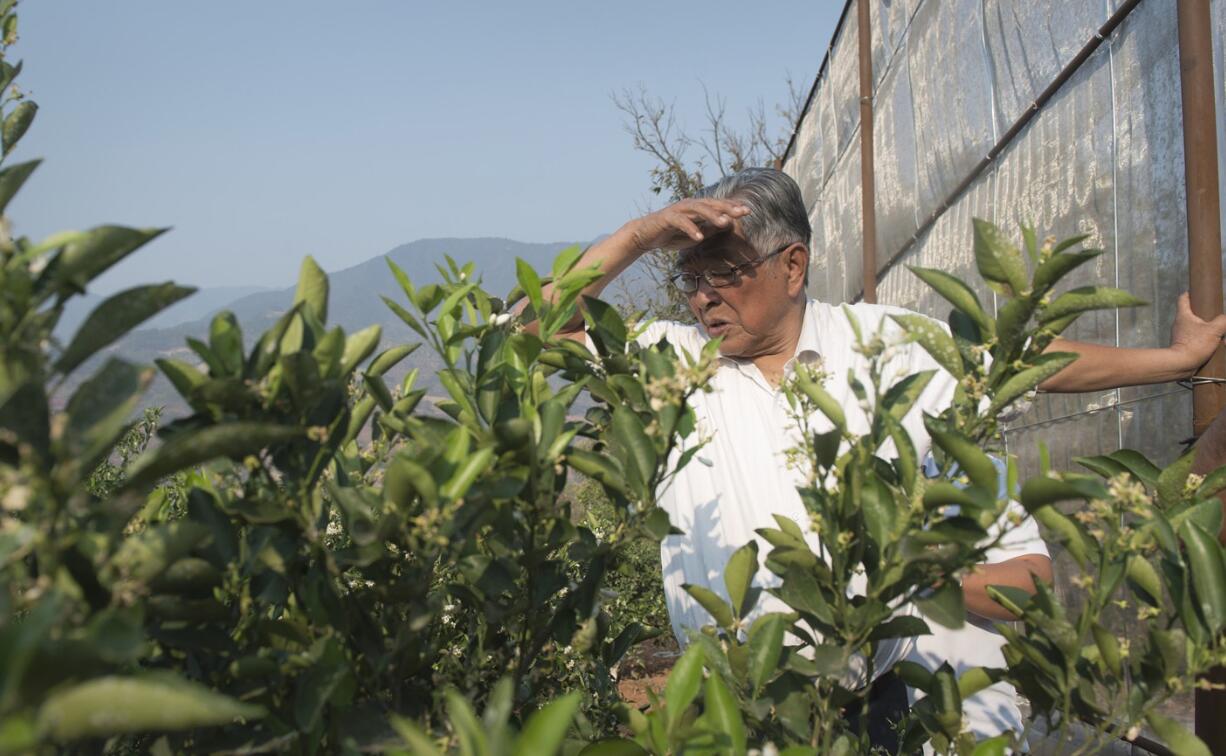 74岁褚时健二次创业,家人都反对,一位退休员工的200块成就褚橙
