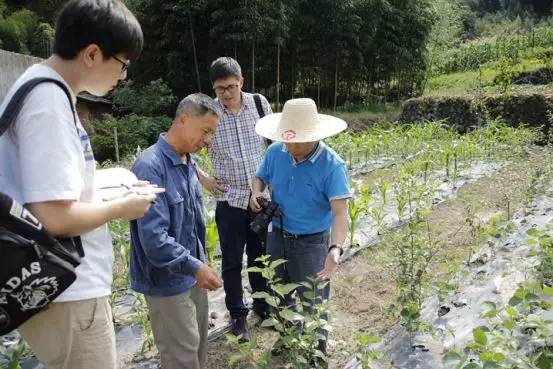 用心种出九华的特色产品"观音豆腐"种植人傅梅祥走访记录