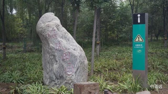 徒步植物園-中塔口滹沱河北岸綠道,賞28公里美景,網友:好厲害