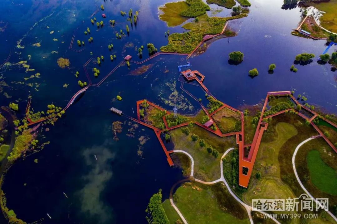 水位降降降,群力外滩湿地公园回来了|秋日湿地,特别美