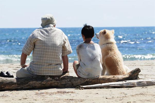 推荐一部日本的电影《星守之犬》