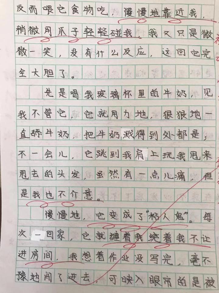 作文评语每次10000字!杭州一小学老师坚持26年,她都写了点啥?