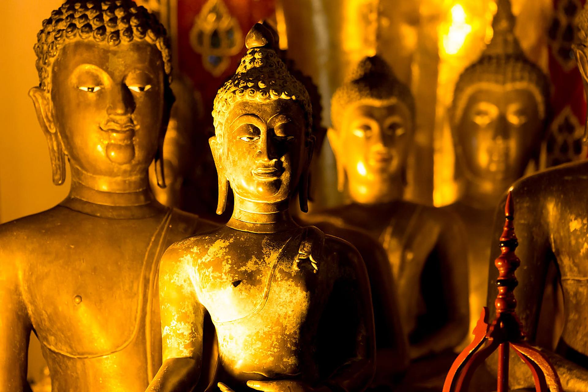 他们身份各异,职责不同但都是传承佛法的关键力量0599了解他们的