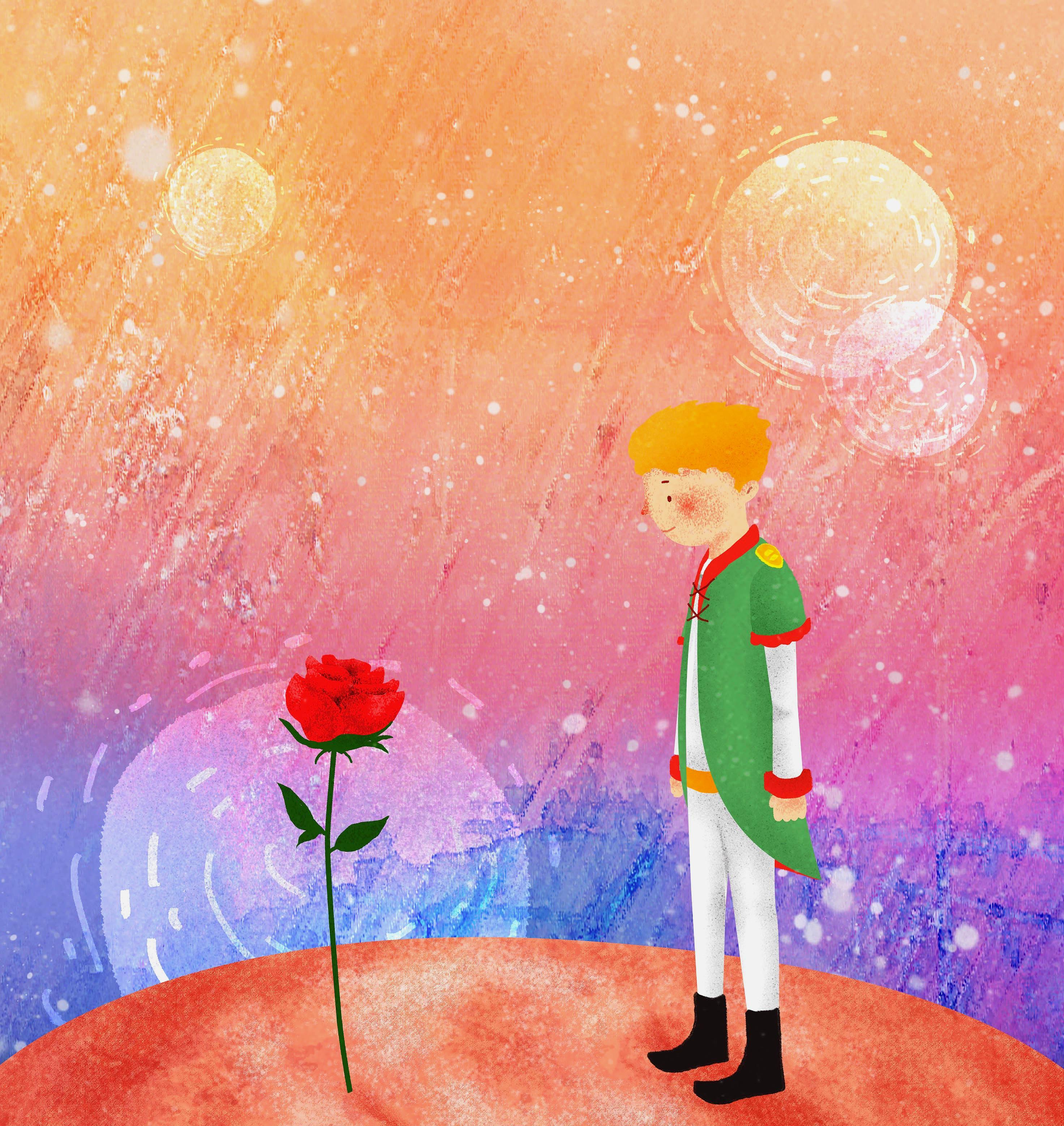 你是否遇见过,那个来自《小王子》家乡b612星球的玫瑰花?