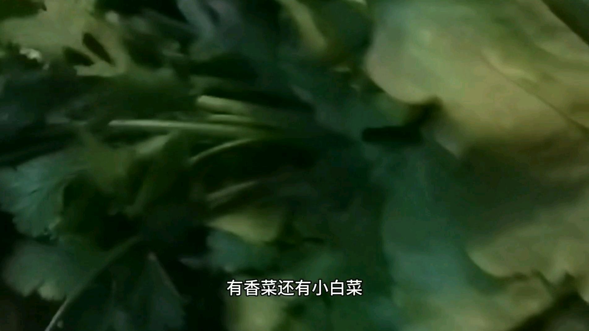 有机蔬菜贵有贵的道理,给大家普及一下它的营养价值