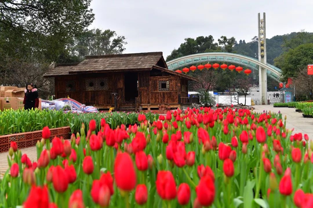 又一出好戲即將在南山植物園上演