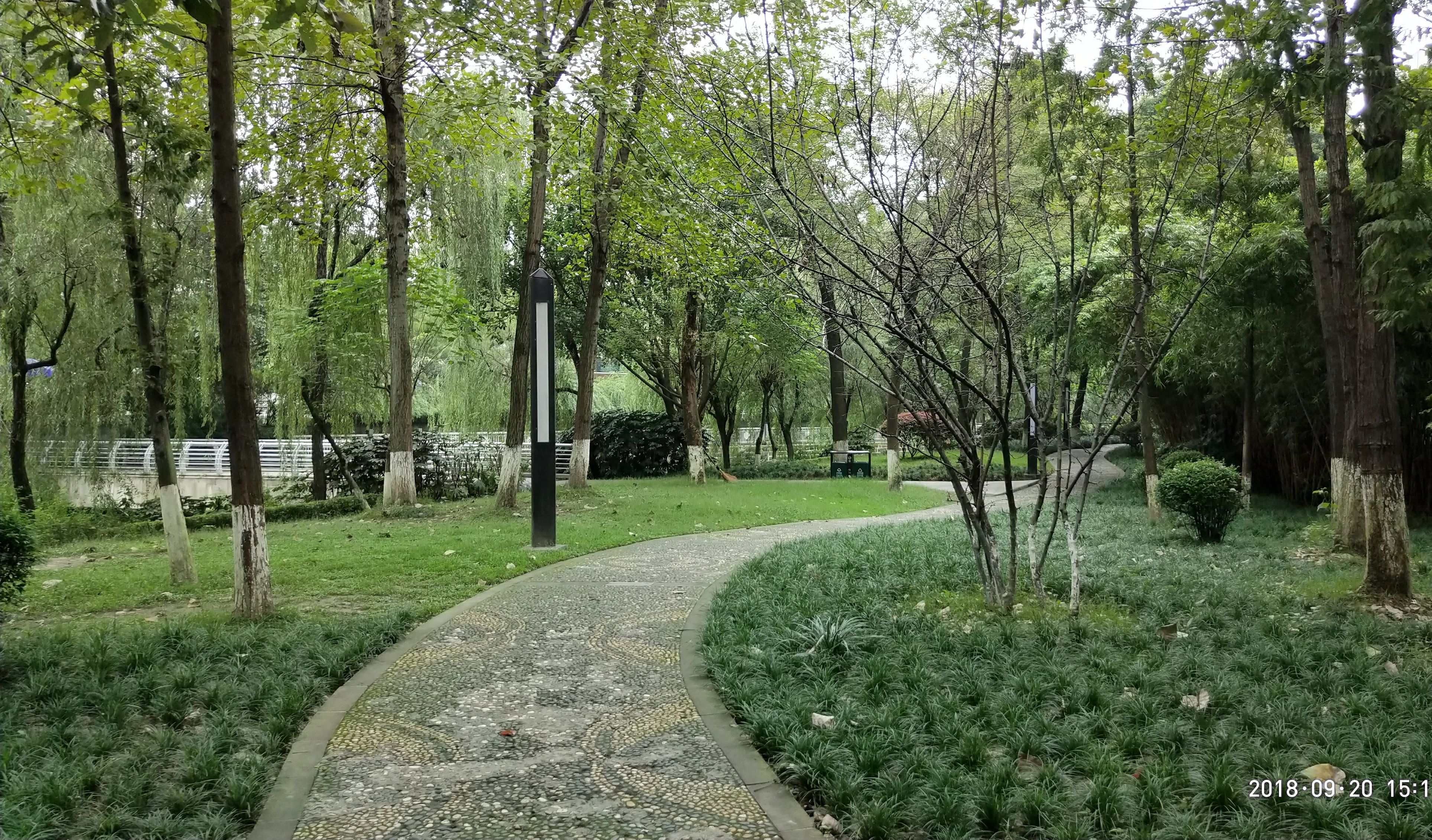 成都市新都区体育森林公园