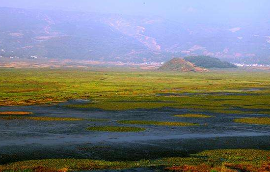 乐安湿地,感受这里的景色,相信你会喜欢的!