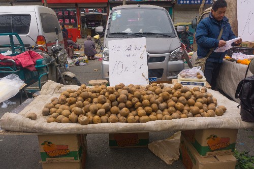 实拍济南郭店大集上的蔬菜水果,价格很实惠