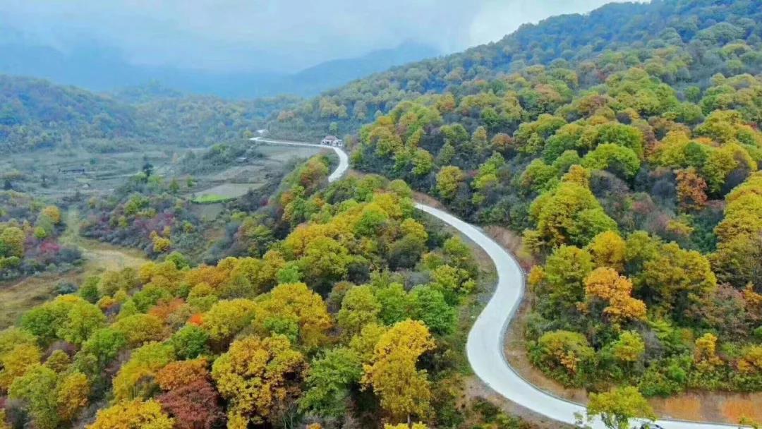 你不知道的汉中镇巴,竟然还有西大池这么惊艳的景区!