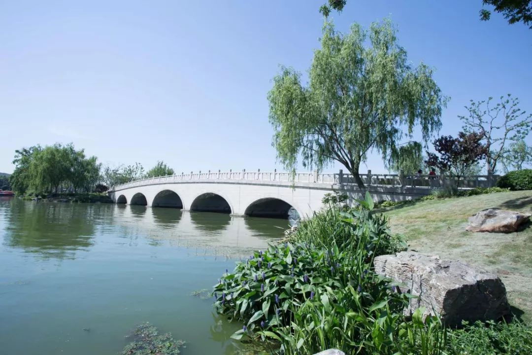 南京十里长堤美如画,玄武湖的"颜"不一般哦!