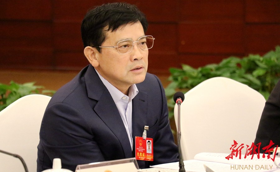 朱水平参加市七届人大四次会议桃源代表团审议