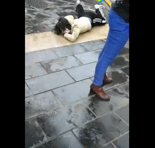 桂林象山区瓦窑一居民楼下,一花季少女离奇坠楼,幸无生命危险