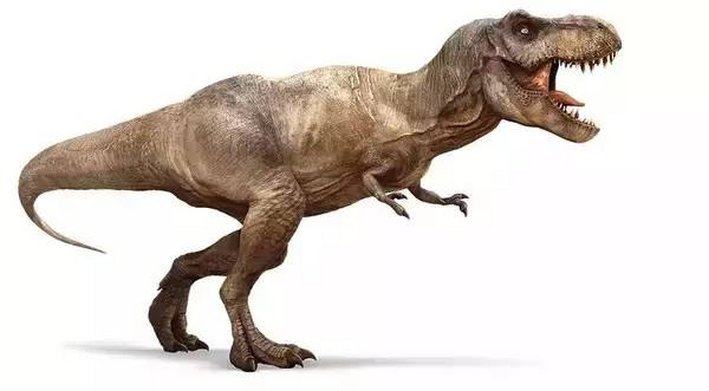 01期#【胡侃冷知识】暴龙就是霸王龙;电影《小黄人》中鲍勃的两只眼睛