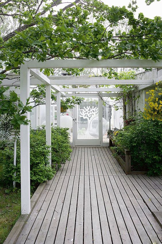 白色廊架中间穿插植物