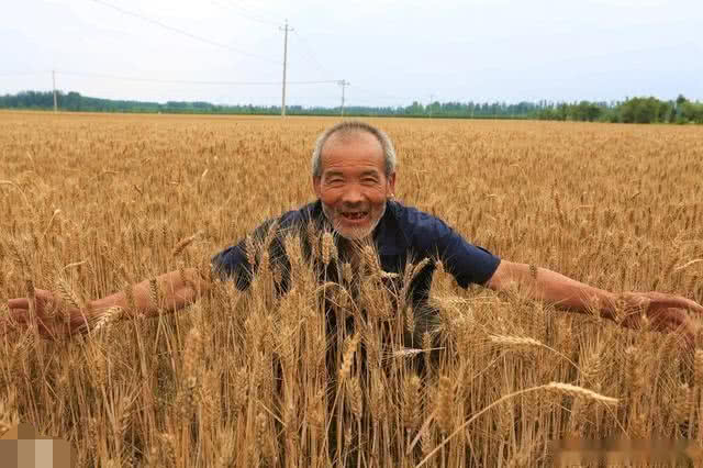 农民年过70,为啥不退休?辛辛苦苦种地为了啥?