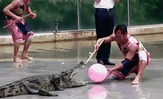 开心指数星搞笑gif动图锦集,好玩幽默爆笑段子每日更新第四更