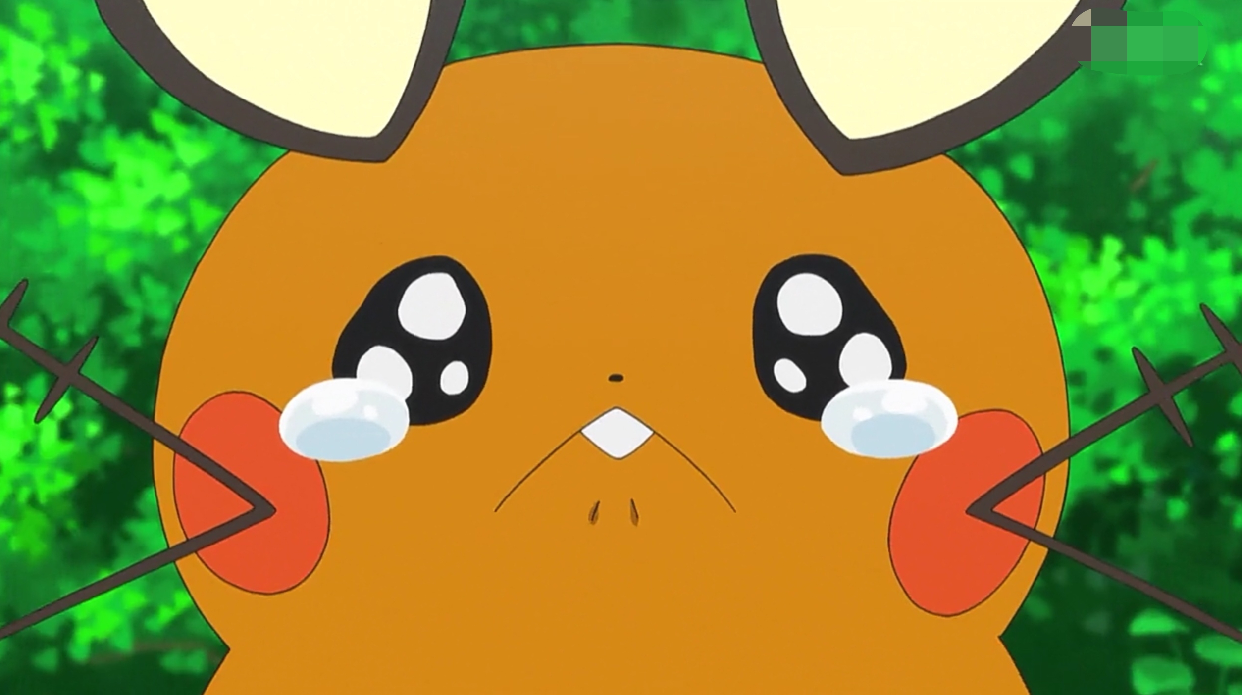 电系初始神奇宝贝有9只,第1只永远是主角,最后1只曾救过小智