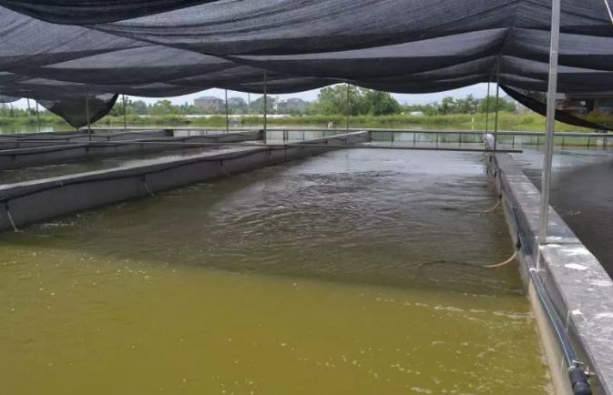 养护- 热门商品专区