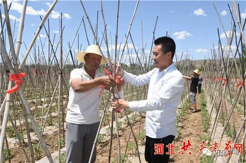 邢鹏飞:被村民们看作"自家人"的驻村干部