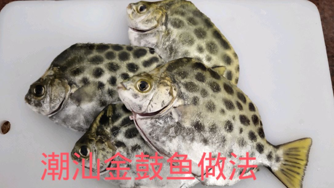金鼓鱼,这鱼要吃得有讲究,这样做鱼肉鲜嫩无腥味,鲜