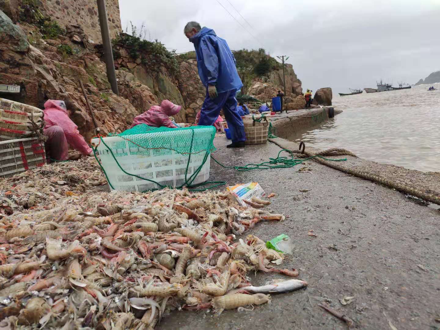 平生第一次,近距离看到海鲜捕捞场景,的确很震撼