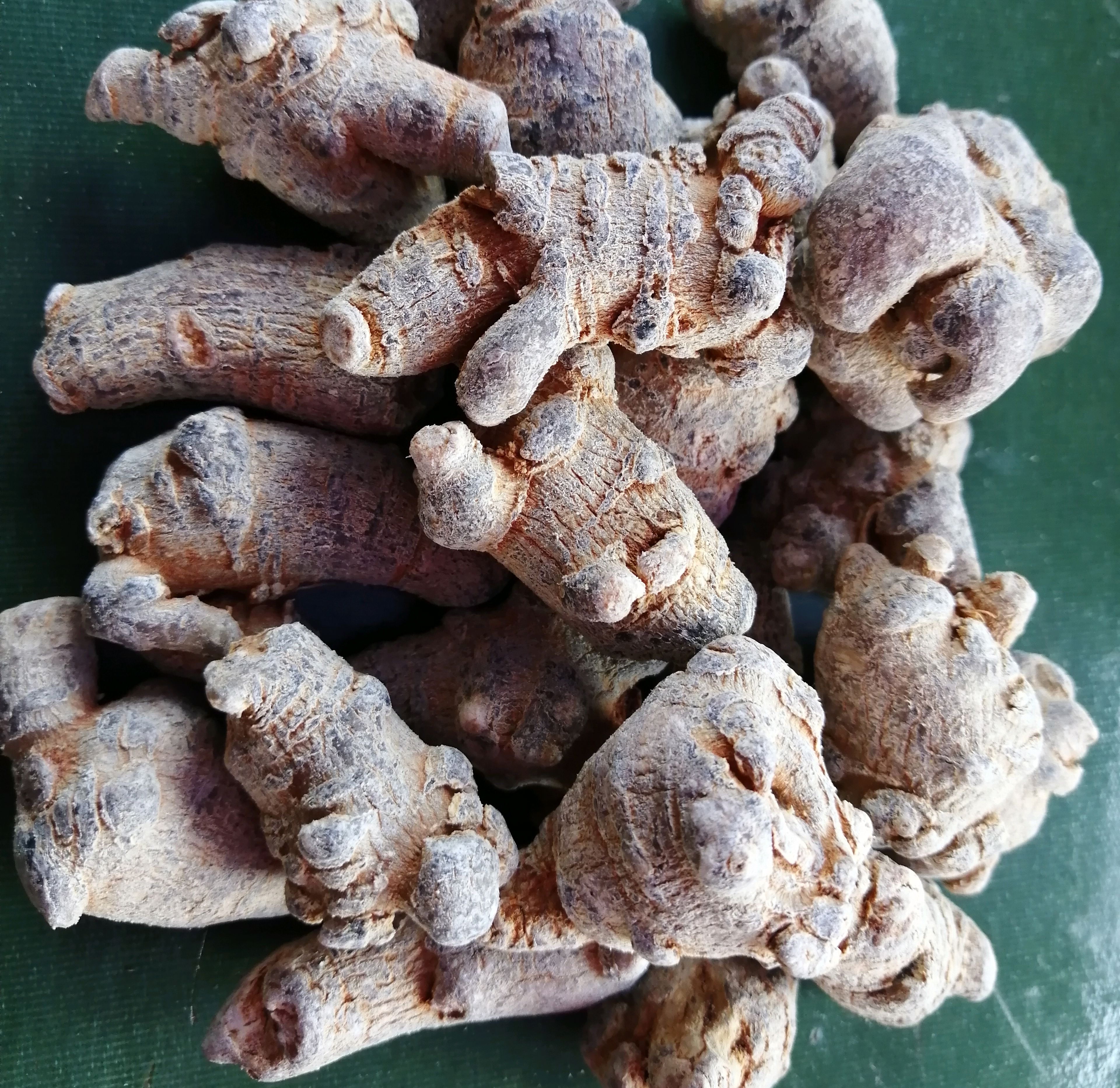 三七有几百年的应用历史,北人参南三七体现了三七功效和人参一样神奇!