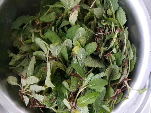 怀孕会胃寒起鸡皮疙瘩(怀孕初期浑身冷还起鸡皮疙瘩) 怀孕会胃寒起鸡皮疙瘩(怀孕初期浑身冷还起鸡皮疙瘩)