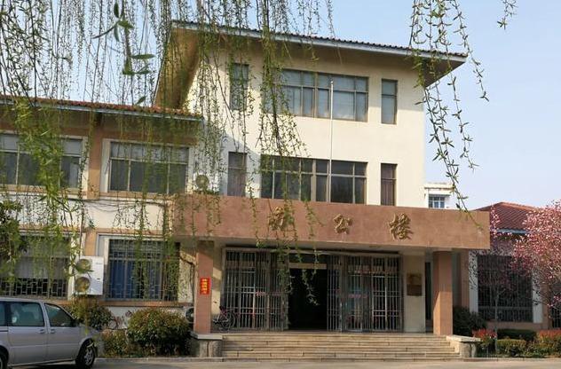 春风十里 不如有你|德科青岛之春 景色如此宜人