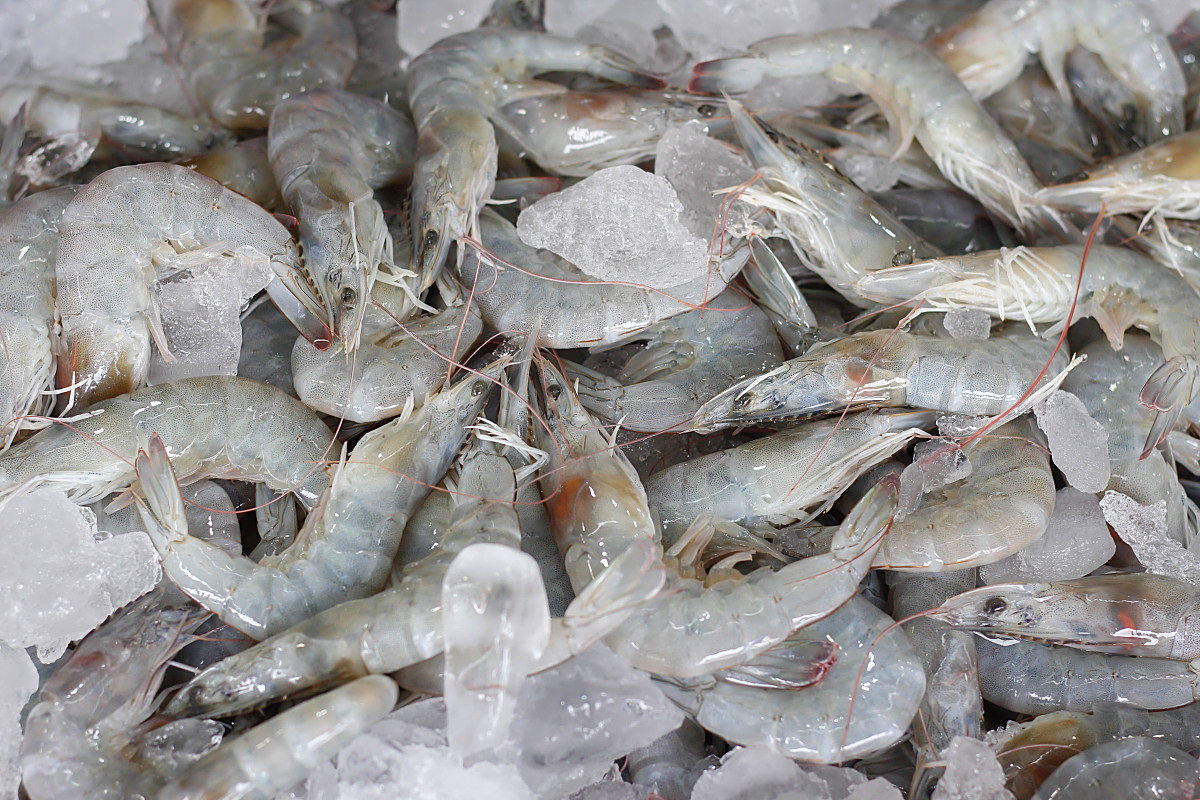 摘要:盐田虾与海水虾是两种截然不同的虾类,分别来自盐田和深海环境