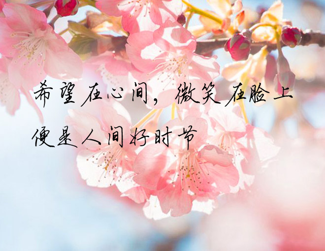 心若暖阳,总会与幸福相遇