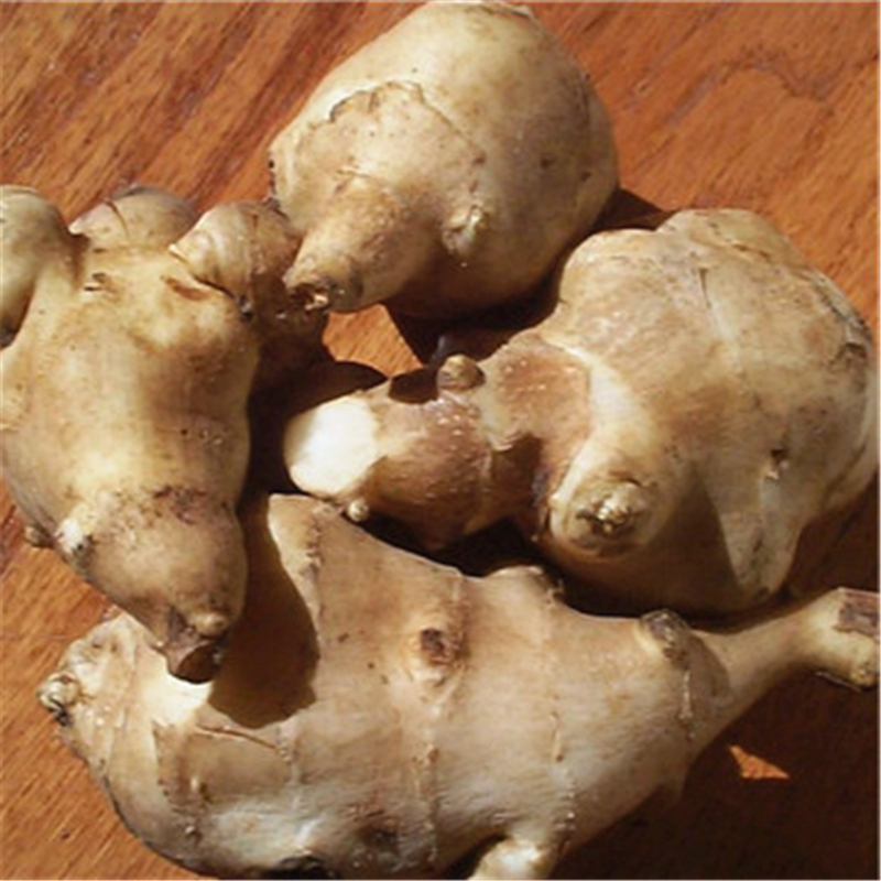 农村有种神奇的"姜",学名洋姜,我们这都叫"鬼子姜",鬼子姜可是小时候