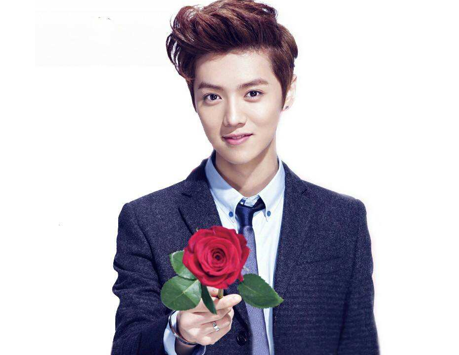 当男星手捧玫瑰时,鹿晗最帅,张翰真酷!胡歌这是太"贪心"了?