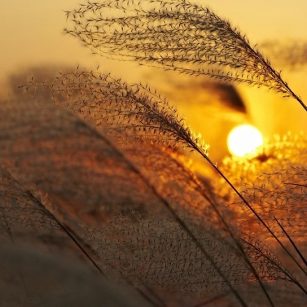 朋友圈18句唯美配图早安心情语录,愿你被世界温柔以待