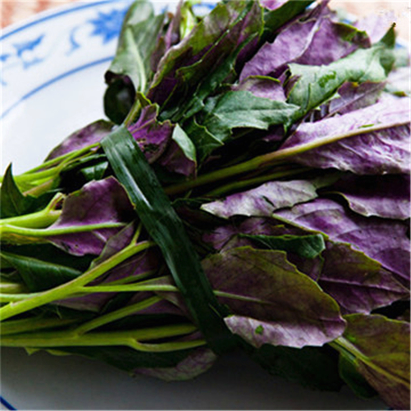 南方人天天吃这种紫色的菜,北方人几乎没吃过!