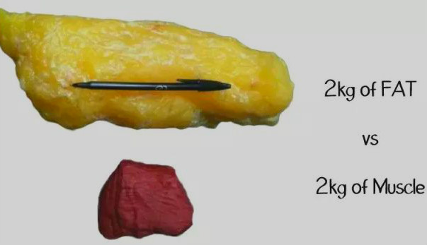 1公斤脂肪竟有这么大 减掉它至少需要一星期