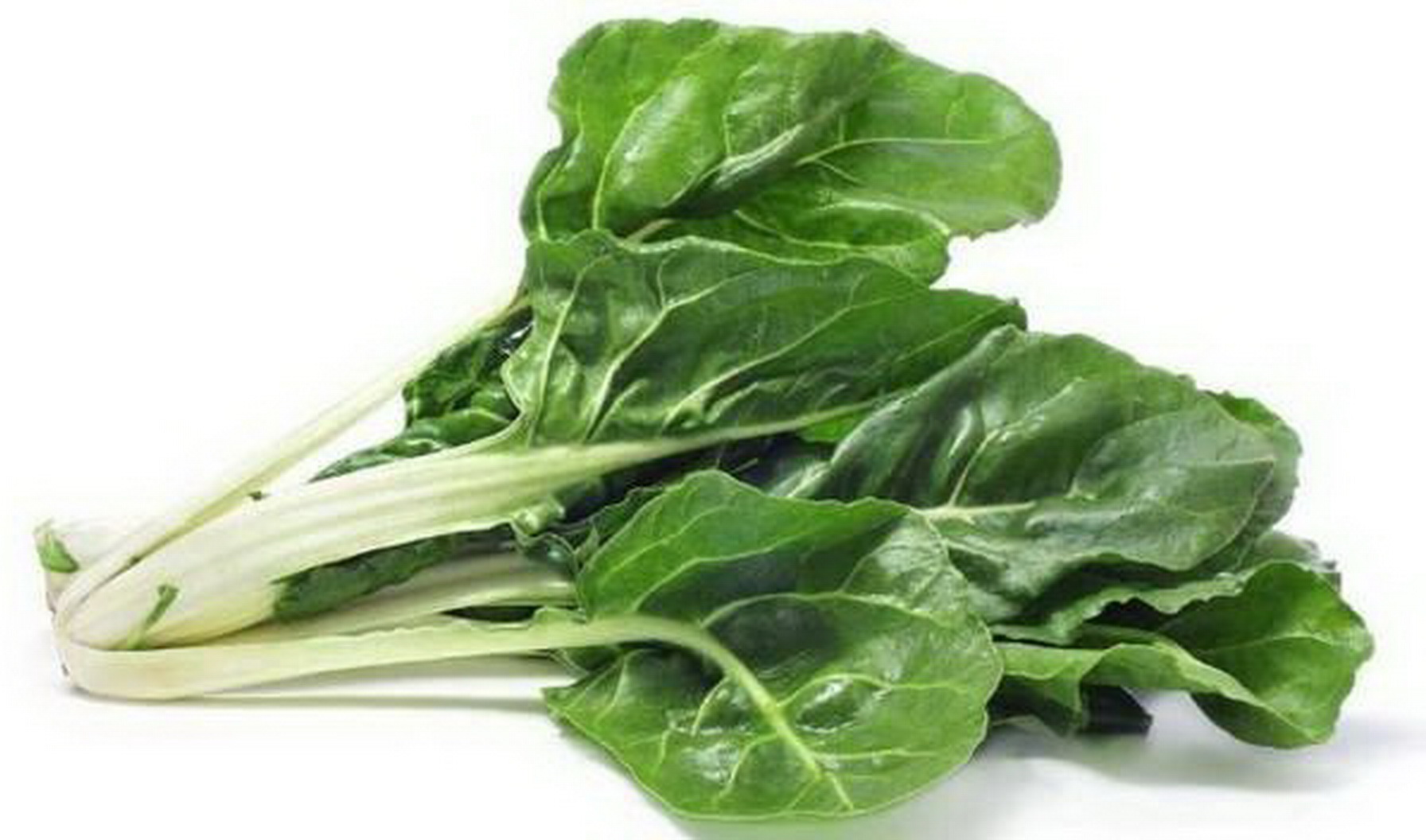 奶奶带我去菜地里采过的一种菜,我们那里叫金叶菜奶奶说它很好