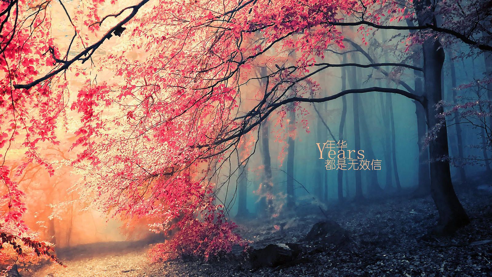 我当时非常生气,因为这是这个月里他第三次问我要钱